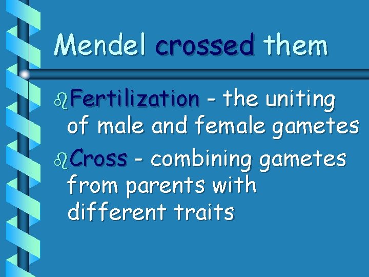 Mendel crossed them b. Fertilization - the uniting of male and female gametes b.