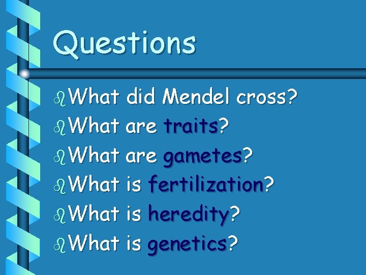 Questions b. What did Mendel cross? b. What are traits? b. What are gametes?