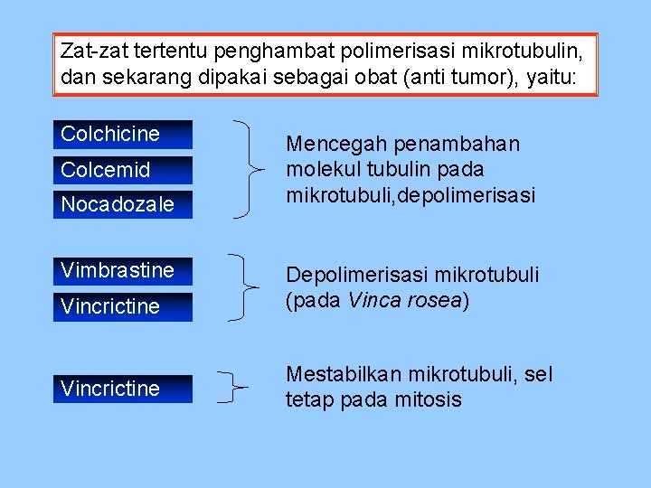 Zat-zat tertentu penghambat polimerisasi mikrotubulin, dan sekarang dipakai sebagai obat (anti tumor), yaitu: Colchicine