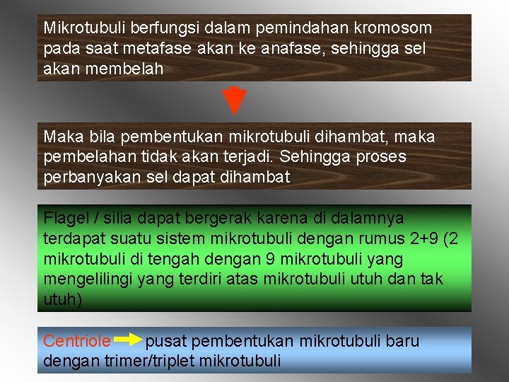 Mikrotubuli berfungsi dalam pemindahan kromosom pada saat metafase akan ke anafase, sehingga sel akan