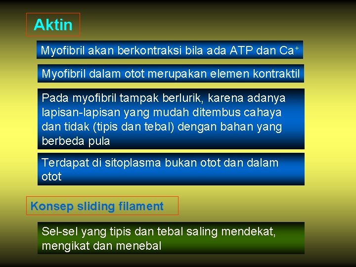 Aktin Myofibril akan berkontraksi bila ada ATP dan Ca+ Myofibril dalam otot merupakan elemen