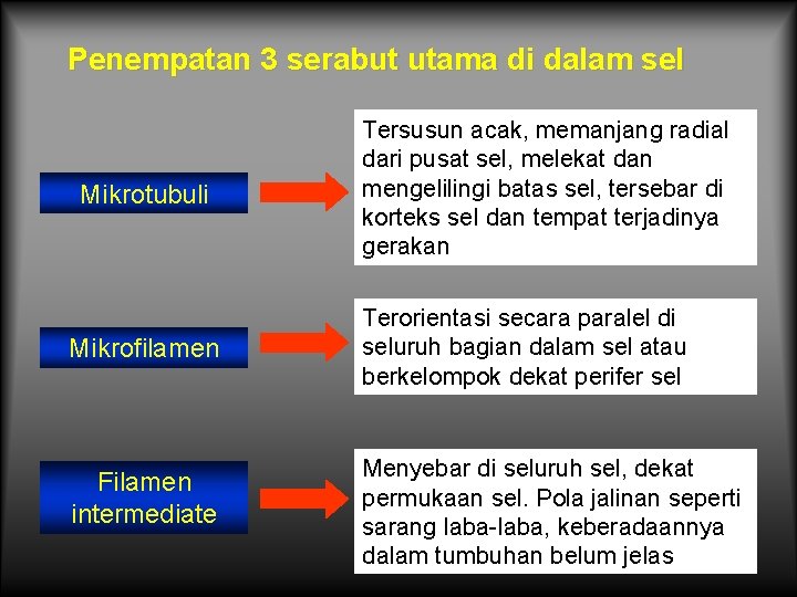 Penempatan 3 serabut utama di dalam sel Mikrotubuli Mikrofilamen Filamen intermediate Tersusun acak, memanjang