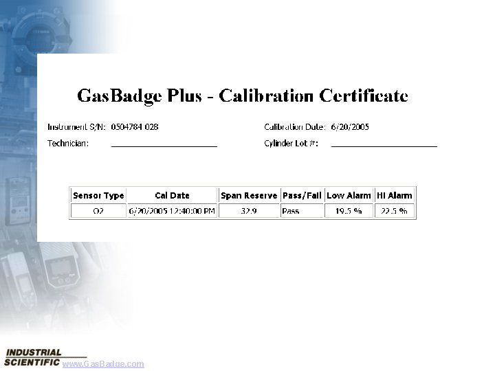 Sample Calibration Certificate www. Gas. Badge. com 