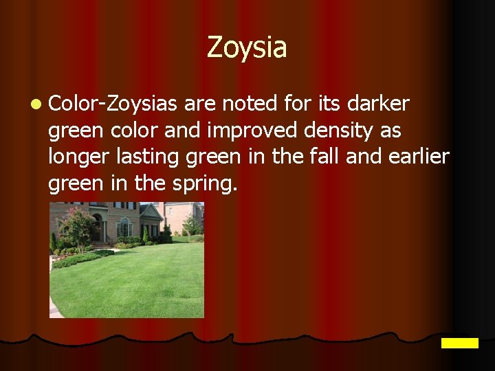 Zoysia l Color-Zoysias are noted for its darker green color and improved density as