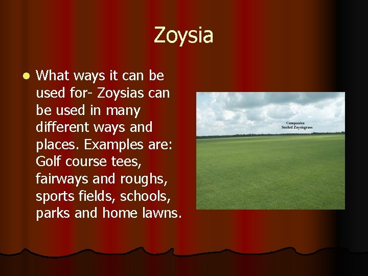 Zoysia l What ways it can be used for- Zoysias can be used in