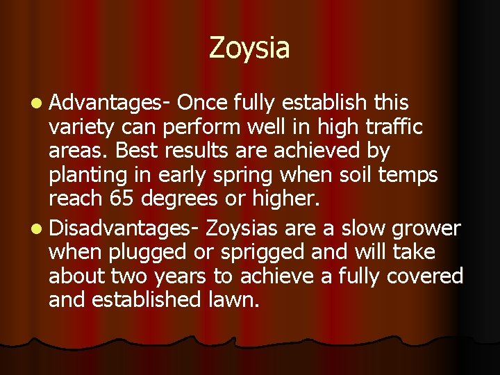 Zoysia l Advantages- Once fully establish this variety can perform well in high traffic