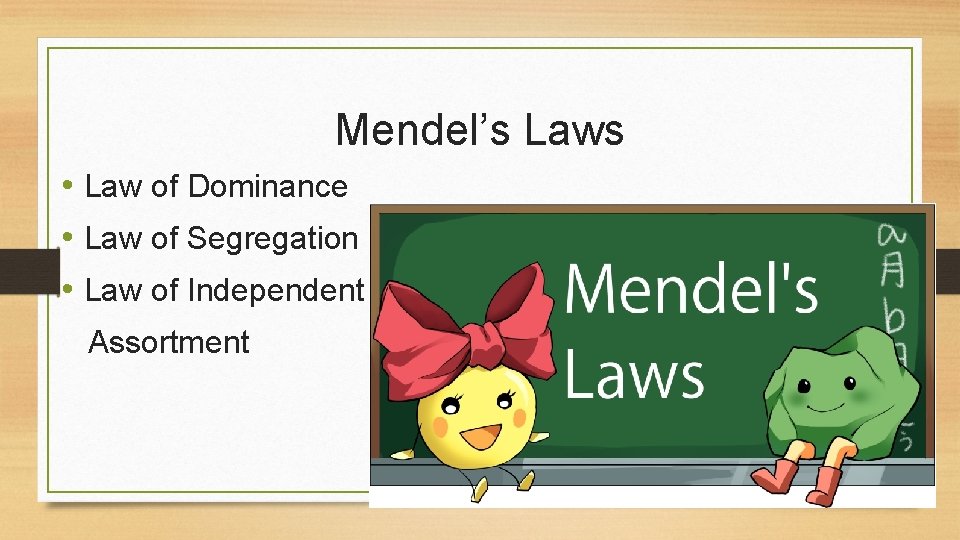 Mendel’s Laws • Law of Dominance • Law of Segregation • Law of Independent