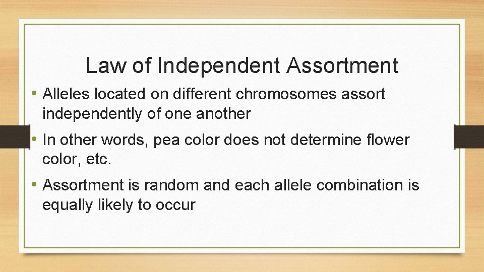 Law of Independent Assortment • Alleles located on different chromosomes assort independently of one