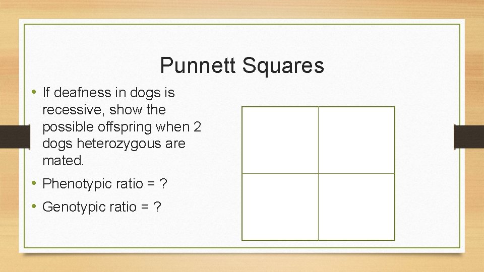 Punnett Squares • If deafness in dogs is recessive, show the possible offspring when