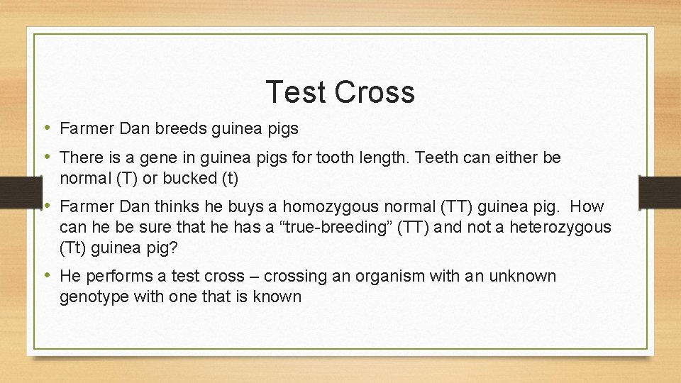 Test Cross • Farmer Dan breeds guinea pigs • There is a gene in