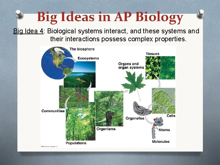 Big Ideas in AP Biology Big Idea 4: Biological systems interact, and these systems