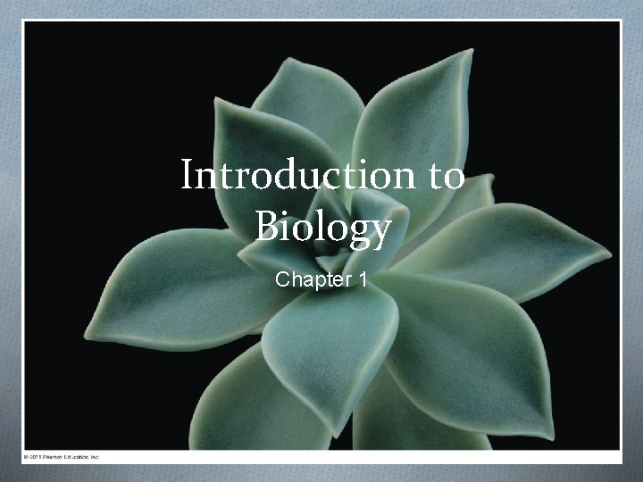 Introduction to Biology Chapter 1 