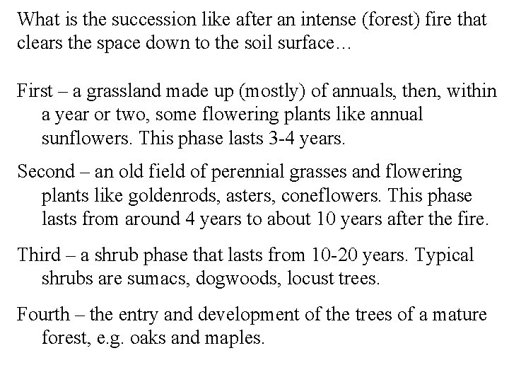 What is the succession like after an intense (forest) fire that clears the space