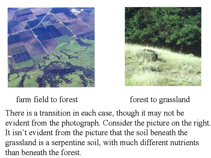 farm field to forest to grassland There is a transition in each case, though