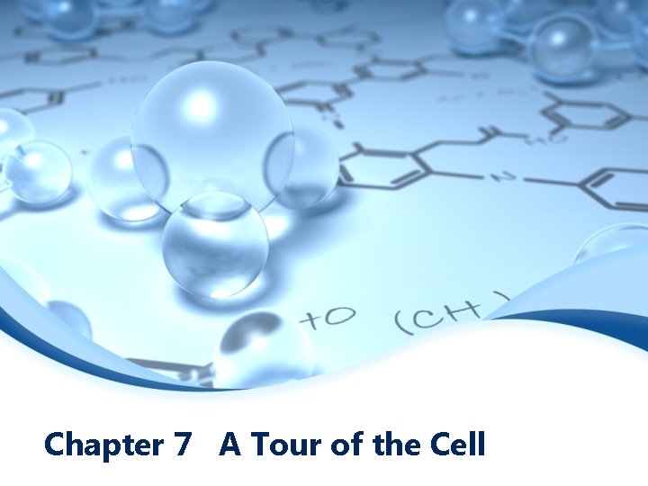 Chapter 7 A Tour of the Cell 