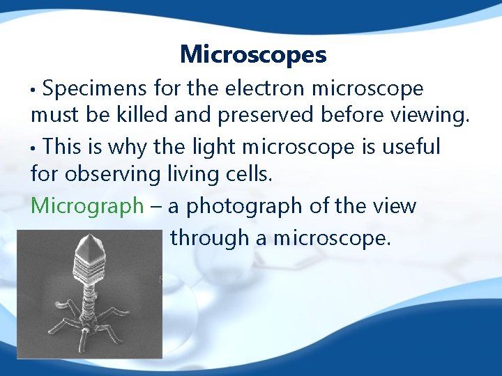 Microscopes Specimens for the electron microscope must be killed and preserved before viewing. •