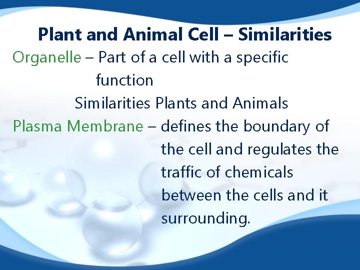 Plant and Animal Cell – Similarities Organelle – Part of a cell with a