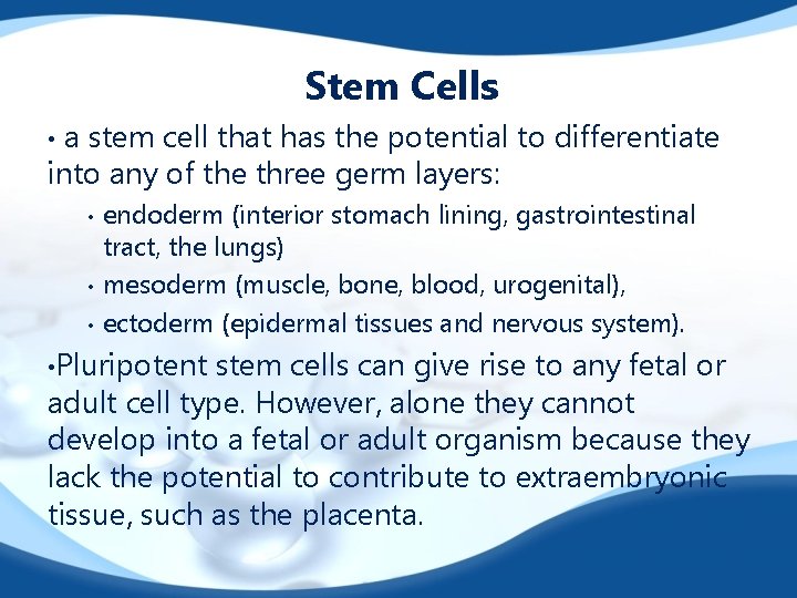 Stem Cells a stem cell that has the potential to differentiate into any of