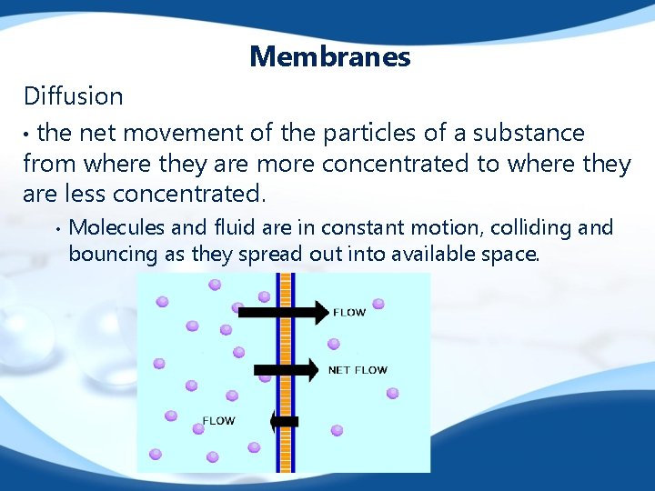 Membranes Diffusion • the net movement of the particles of a substance from where