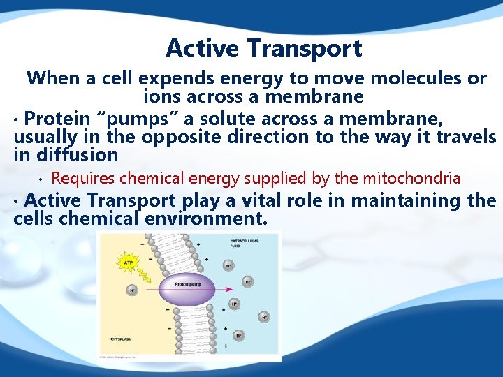 Active Transport When a cell expends energy to move molecules or ions across a