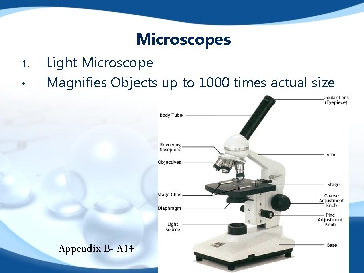 Microscopes 1. • Light Microscope Magnifies Objects up to 1000 times actual size Appendix