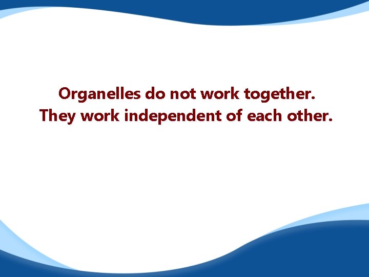 Organelles do not work together. They work independent of each other. 