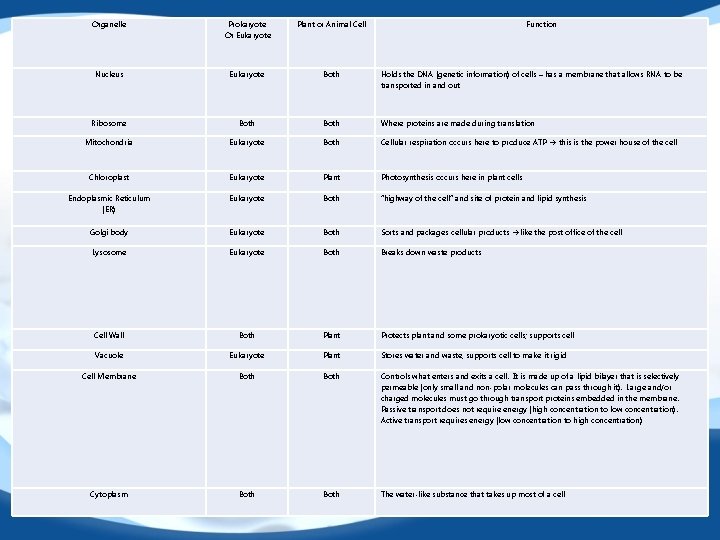 Organelle Prokaryote Or Eukaryote Plant or Animal Cell Function Nucleus Eukaryote Both Holds the