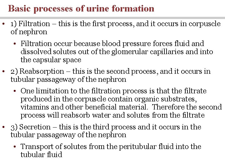 Basic processes of urine formation • 1) Filtration – this is the first process,