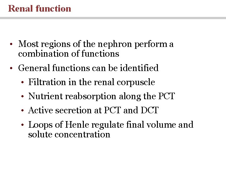 Renal function • Most regions of the nephron perform a combination of functions •
