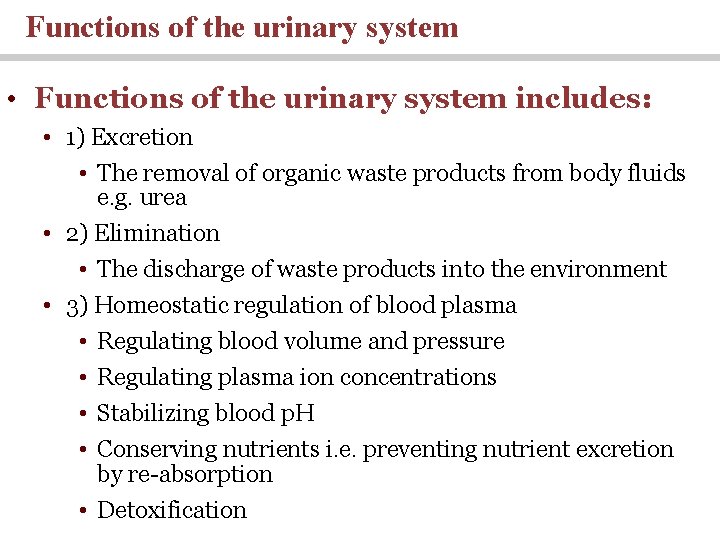 Functions of the urinary system • Functions of the urinary system includes: • 1)