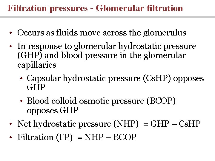 Filtration pressures - Glomerular filtration • Occurs as fluids move across the glomerulus •