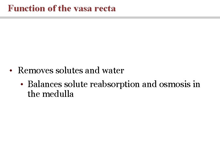Function of the vasa recta • Removes solutes and water • Balances solute reabsorption