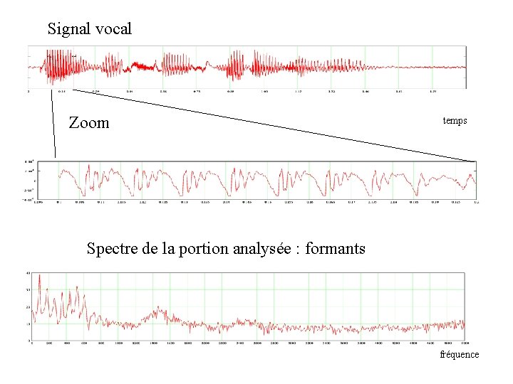 Signal vocal Zoom temps Spectre de la portion analysée : formants fréquence 