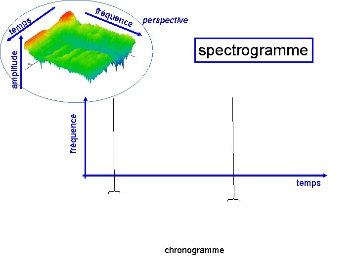 fréq uen ps tem ce perspective fréquence amplitude spectrogramme temps chronogramme 