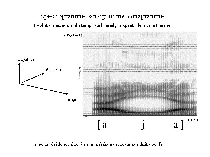 Spectrogramme, sonagramme Evolution au cours du temps de l ’analyse spectrale à court terme