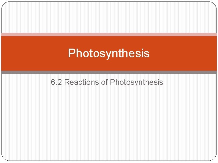 Photosynthesis 6. 2 Reactions of Photosynthesis 