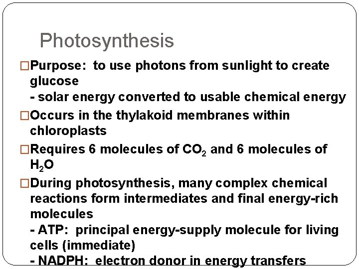 Photosynthesis �Purpose: to use photons from sunlight to create glucose - solar energy converted