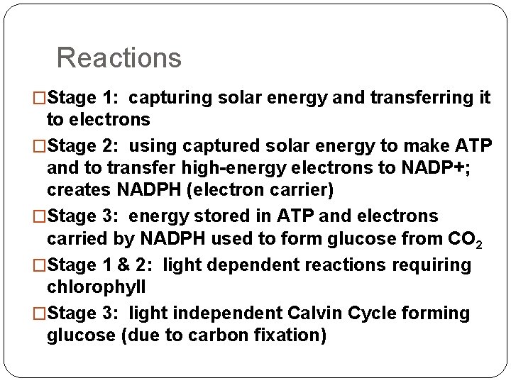 Reactions �Stage 1: capturing solar energy and transferring it to electrons �Stage 2: using