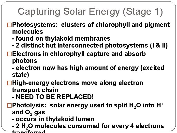 Capturing Solar Energy (Stage 1) �Photosystems: clusters of chlorophyll and pigment molecules - found