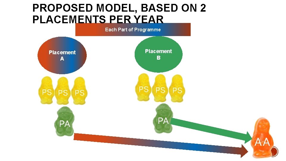 PROPOSED MODEL, BASED ON 2 PLACEMENTS PER YEAR Each Part of Programme Placement A