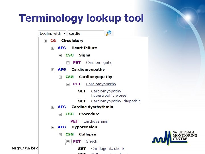 Terminology lookup tool Magnus Wallberg, UMC 