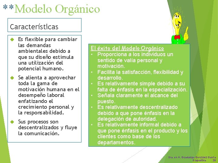 **Modelo Orgánico Características Es flexible para cambiar las demandas ambientales debido a que su