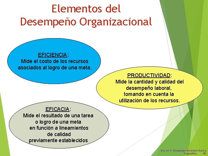 Elementos del Desempeño Organizacional EFICIENCIA: Mide el costo de los recursos asociados al logro