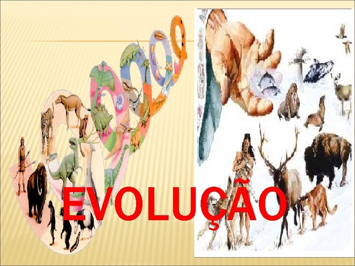 EVOLUÇÃO 