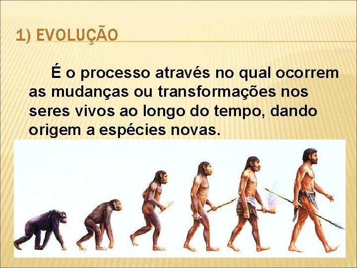 1) EVOLUÇÃO É o processo através no qual ocorrem as mudanças ou transformações nos