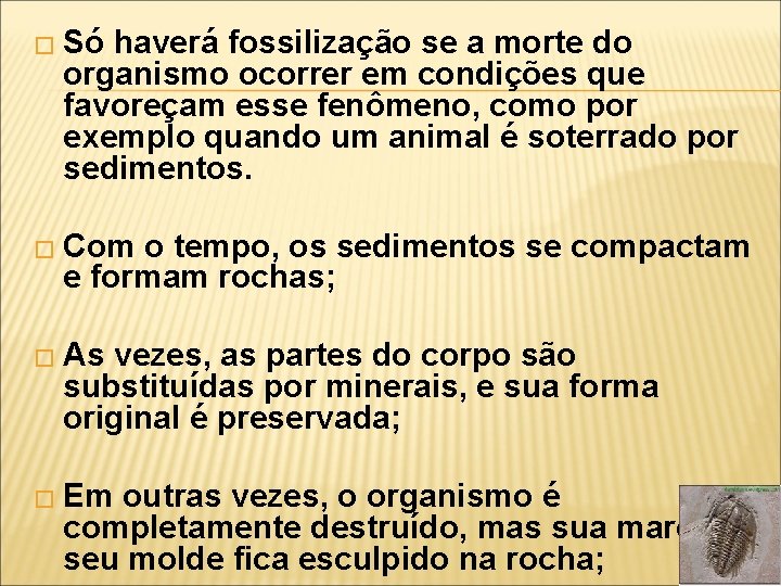 � Só haverá fossilização se a morte do organismo ocorrer em condições que favoreçam