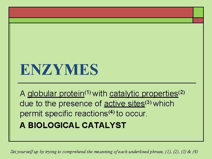 ENZYMES A globular protein(1) with catalytic properties(2) due to the presence of active sites(3)
