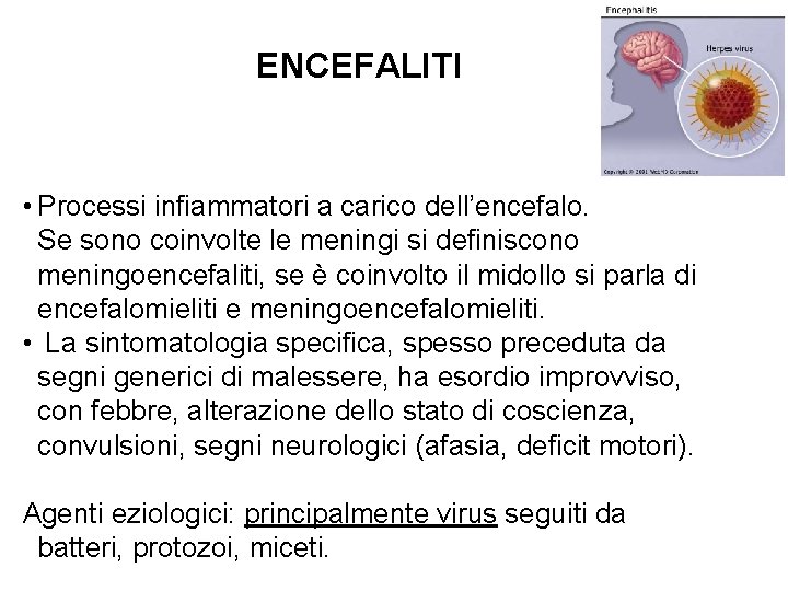 ENCEFALITI • Processi infiammatori a carico dell’encefalo. Se sono coinvolte le meningi si definiscono