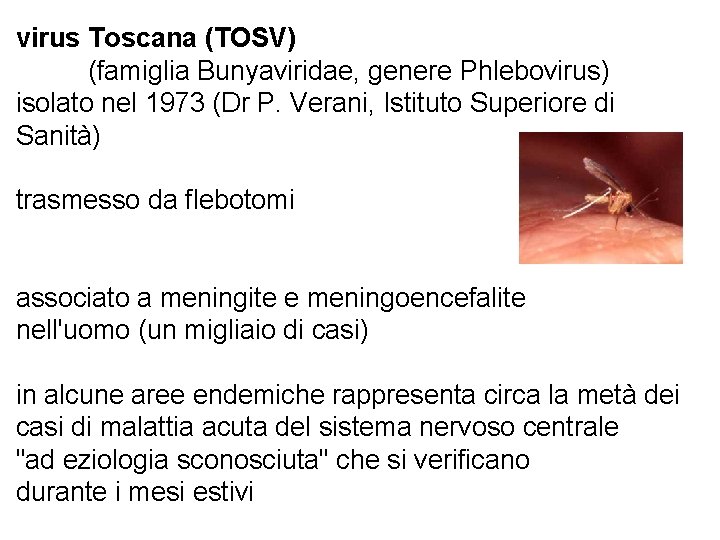 virus Toscana (TOSV) (famiglia Bunyaviridae, genere Phlebovirus) isolato nel 1973 (Dr P. Verani, Istituto