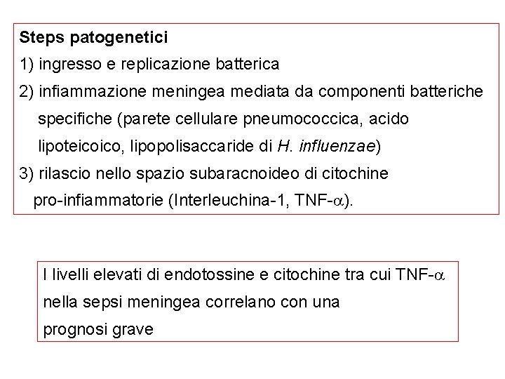 Steps patogenetici 1) ingresso e replicazione batterica 2) infiammazione meningea mediata da componenti batteriche
